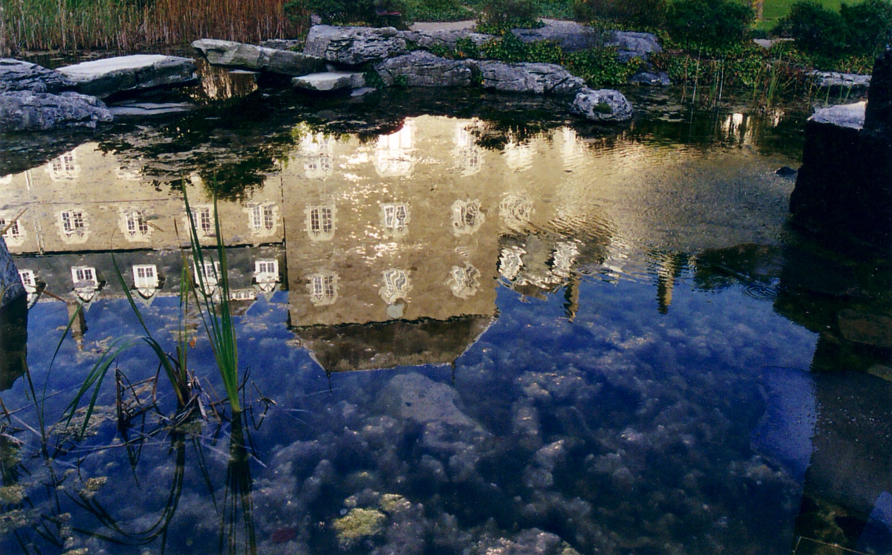 MaynoothCollegeReflection